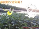 ֹ,д󷨵ӹףʦ(29)
