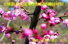 ֹ,żҿڴ󷨵ӹףʦ(30)
