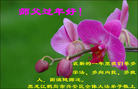 ֹ,󷨵ӹףʦ(22)

