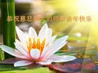 ֹ,ൺ󷨵ӹףʦ(25)
