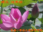 ֹ,󷨵ӹףʦ(22)

