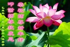 ֹ,ൺ󷨵ӹףʦ(25)
