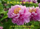 ֹ,ľ˹󷨵ӹףʦ(26)
