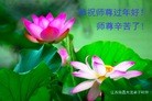 ֹ,󷨵ӹףʦ(31)

