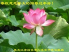 ֹ,󷨵ӹףʦ(22)
