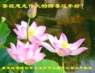 ֹ,󷨵ӹףʦ(22)
