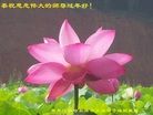 ֹ,󷨵ӹףʦ(22)

