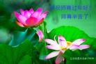 ֹ,󷨵ӹףʦ(31)
