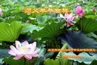 ֹ,󷨵ӹףʦ(32)
