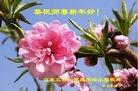 ֹ,ȷ󷨵ӹףʦ(28)
