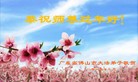 ֹ,㶫󷨵ӹףʦ(33)
