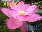 ֹ,󷨵ӹףʦ(32)
