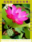 ֹ,ӱ󷨵ӹףʦ(29)
