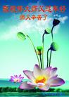 ֹ,󷨵ӹףʦ(29)
