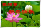 Published on 2/16/2015 ���ֹ�,��½�󷨵��ӹ�ףʦ������(42��)
