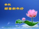 法轮功,北京大法弟子恭祝师尊过年好(28条)
