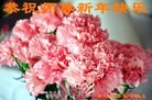 ֹ,ൺ󷨵ӹףʦ(25)
