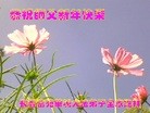 ֹ,󷨵ӹףʦ(22)
