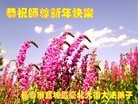ֹ,󷨵ӹףʦ(22)
