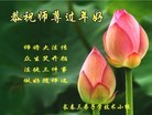 ֹ,󷨵ӹףʦ(22)
