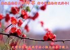 ֹ,󷨵ӹףʦ(27)
