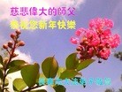 ֹ,ʡ󷨵ӹףʦ(22)
