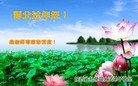 法轮功,陕西大法弟子恭祝师尊新年好(26条)
