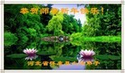 法轮功,张家口大法弟子恭祝师尊过年好(30条)
