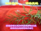 ֹ,ൺ󷨵ӹףʦ(25)
