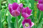Published on 2/21/2015 ���ֹ�,��½�󷨵��ӹ�ףʦ������(146��)
