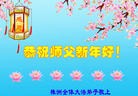 法轮功,湖南大法弟子恭祝师尊过年好(27条)
