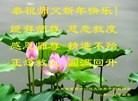 Published on 2/21/2015 ���ֹ�,��½�󷨵��ӹ�ףʦ������(68��)
