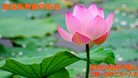 Published on 2/16/2015 ���ֹ�,��½�󷨵��ӹ�ףʦ������(46��)

