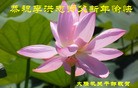Published on 2/21/2015 ���ֹ�,��½�󷨵��ӹ�ףʦ������(70��)
