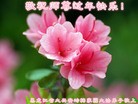 ֹ,󷨵ӹףʦ(26)
