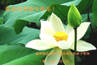 Published on 2/17/2015 ���ֹ�,��½���һ��ش󷨵��ӹ�ףʦ������(26��)
