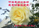 ֹ,ػʵ󷨵ӹףʦ(21)
