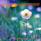ֹ,ȷ󷨵ӹףʦ(22)
