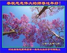 ֹ,󷨵ӹףʦ(22)

