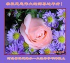ֹ,󷨵ӹףʦ(22)
