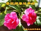 ֹ,ʡ󷨵ӹףʦ(23)
