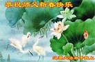 ֹ,ʡ󷨵ӹףʦ(23)
