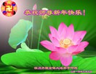 Published on 2/16/2015 ���ֹ�,��½�󷨵��ӹ�ףʦ������(31��)
