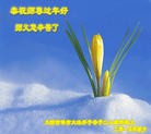 ֹ,д󷨵ӹףʦ(25)

