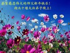 ֹ,󷨵ӹףʦ(27)

