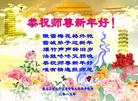 法轮功,黑龙江大法弟子恭祝师尊过年好(24条)
