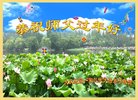 ֹ,󷨵ӹףʦ(21)

