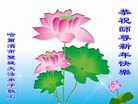 法轮功,哈尔滨大法弟子恭祝师尊过年好(27条)
