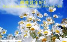ֹ,󷨵ӹףʦ(25)
