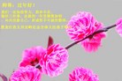 ֹ,󷨵ӹףʦ(25)
